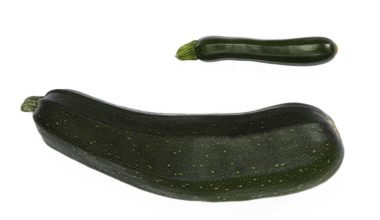 Penis Büyütme