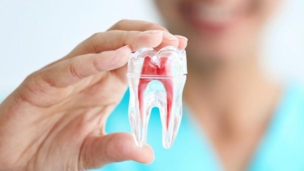 Diş Hekimliği Nedir? Uzmanlık Alanları Nelerdir? Hangi Hastalıklara Bakar?