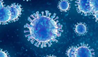 Koronavirüs Sonrası Normal Hayata Dönüş